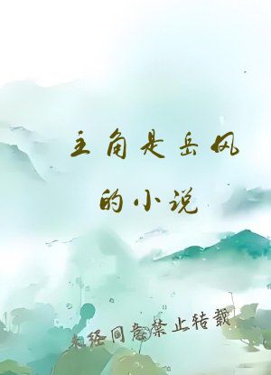 主角是岳风的小说