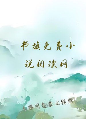 书旗免费小说阅读网
