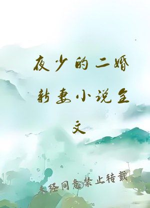 夜少的二婚新妻小说全文