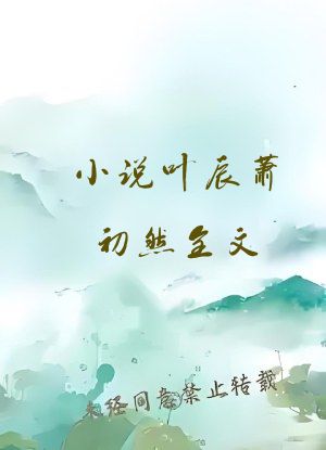小说叶辰萧初然全文