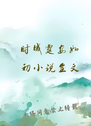 时域霆安如初小说全文