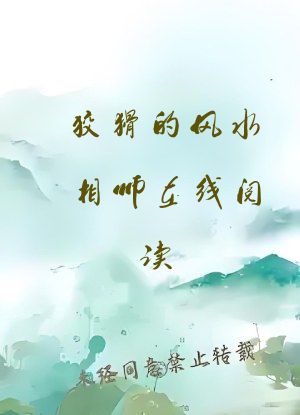 狡猾的风水相师在线阅读