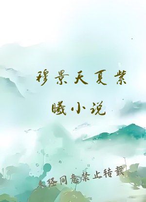 穆景天夏紫曦小说