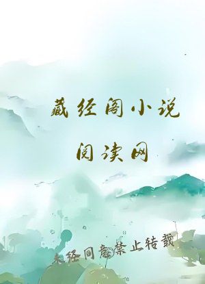 藏经阁小说阅读网
