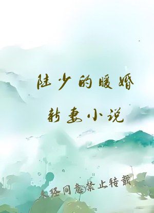 陆少的暖婚新妻小说