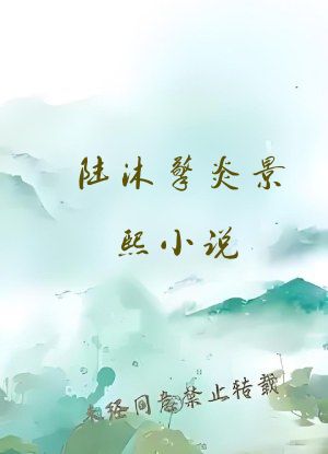 陆沐擎炎景熙小说
